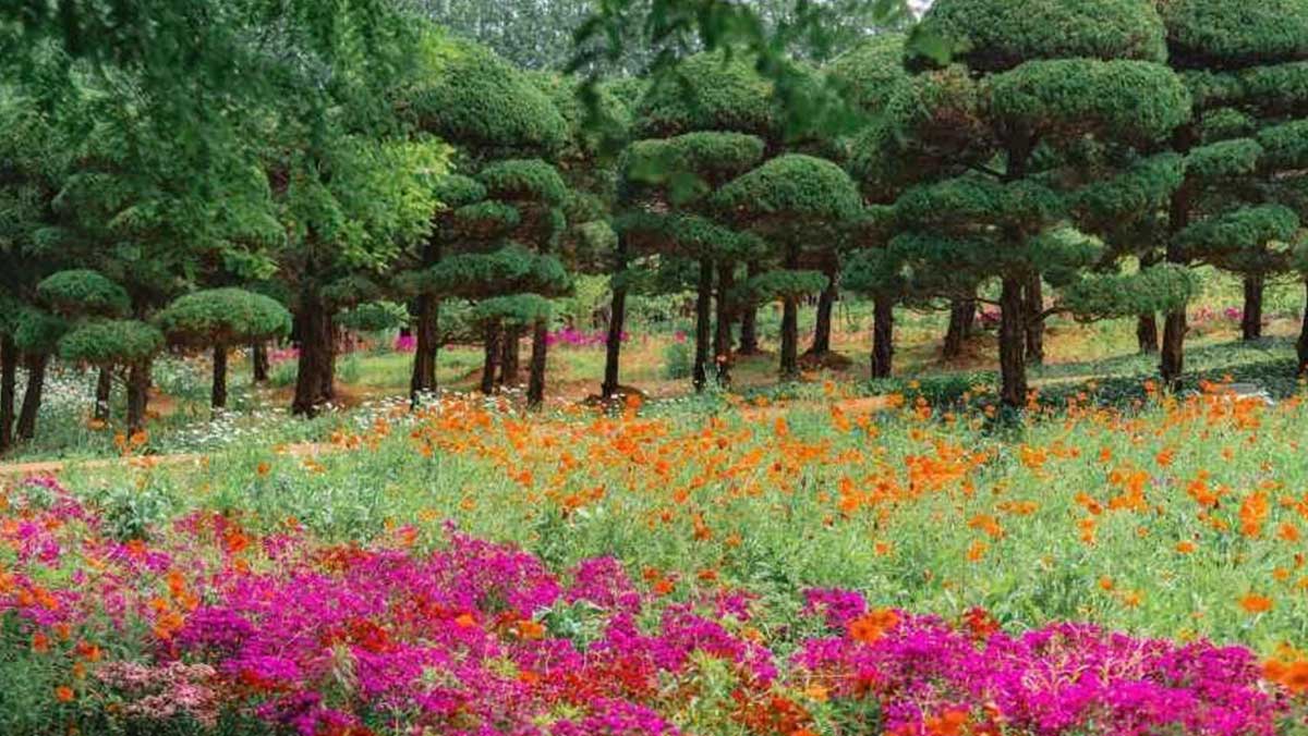 익산 아가페정원, 계절마다 달라지는 정원 풍경을 보여준다. / 한국관광공사