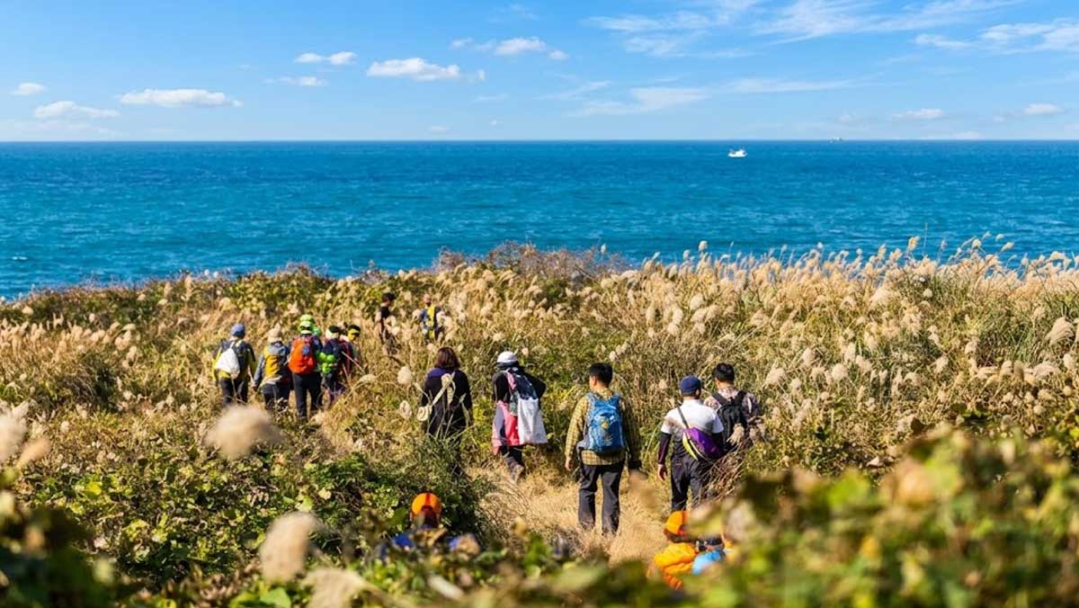 억새꽃과 푸른 바다가 어우러진 길을 따라 축제 참가자들이 힘차게 걸어가고 있다. / 비짓제주, ai