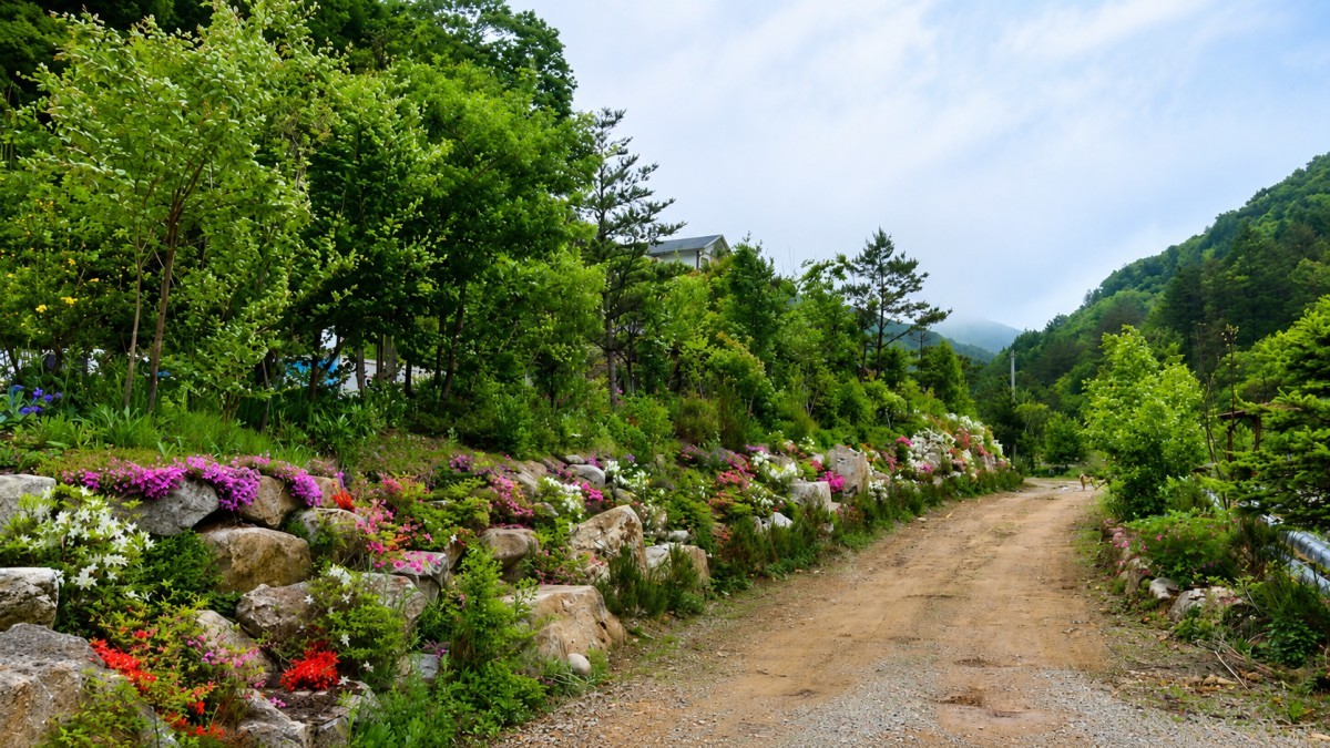 계방산 산행 길. / ⓒ한국관광공사 제공