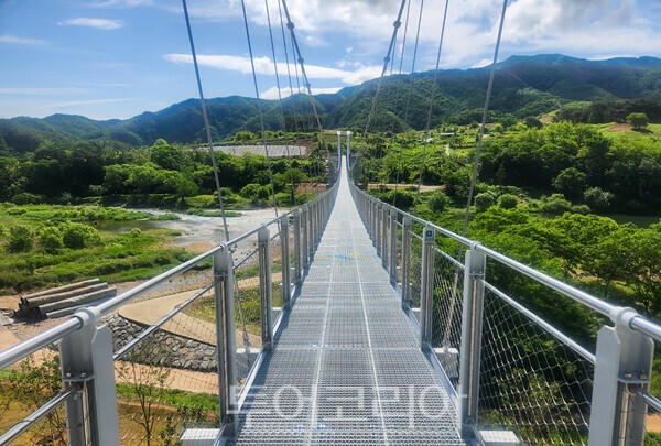 사진 / 출렁다리의 모습