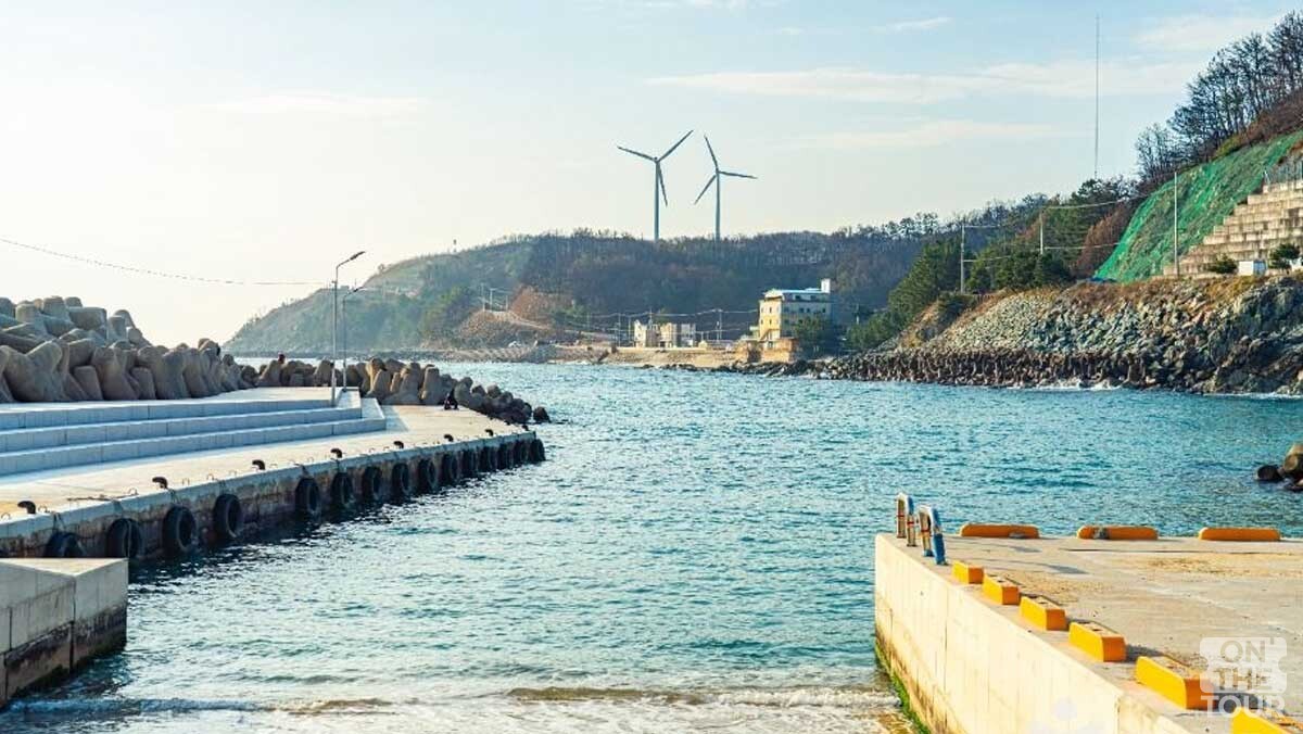 바닥이 들여다보일 정도로 물이 맑은 오보해수욕장 방파제 주변. / 한국관광공사