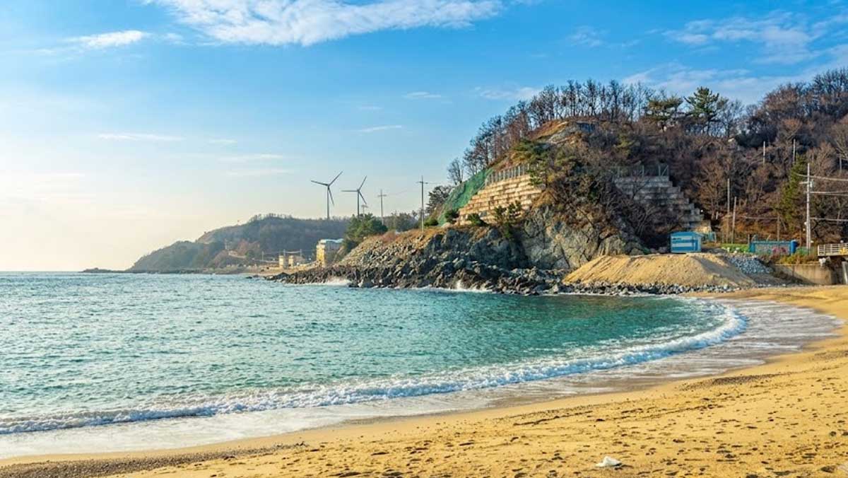푸른 바다 건너 언덕 위로 영덕의 명물인 풍력발전기가 바라보이는 평화로운 해안 풍경. / 한국관광공사, ai