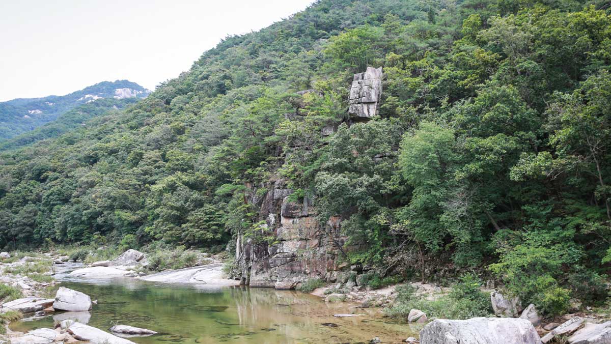 아찔한 바위 절벽 틈새로 소나무가 자라나며 백학의 전설을 품은 제8곡 학소대. / 충북 공식 블로그