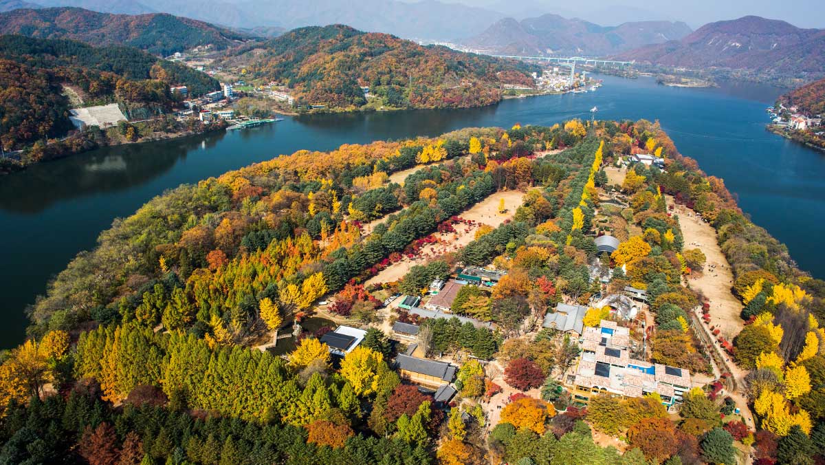알록달록한 단풍과 은행나무로 물든 남이섬 가을 전경. / 한국관광콘텐츠랩-김학리