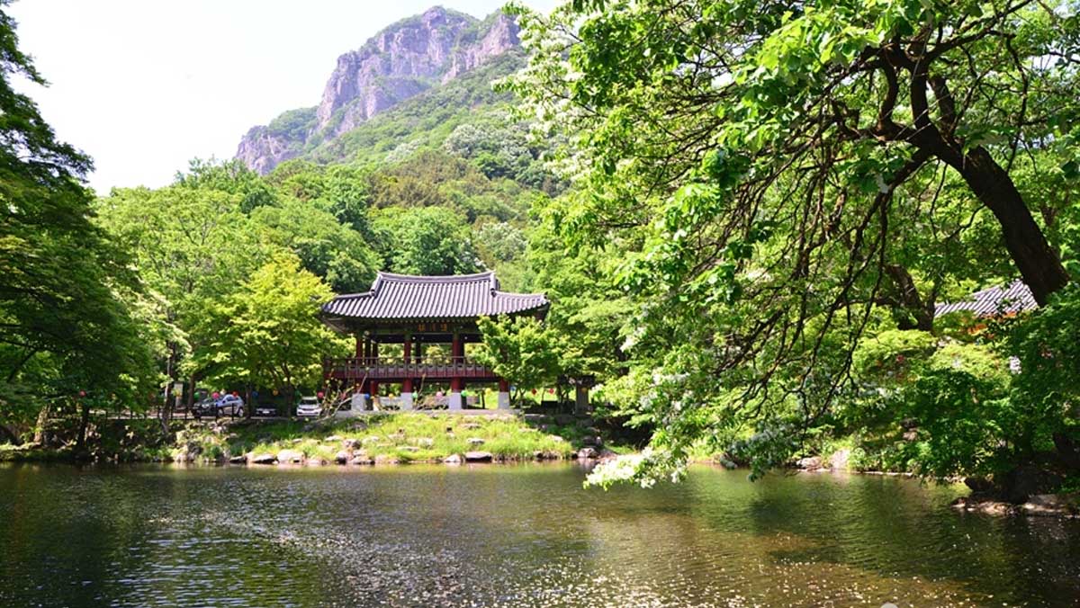 울창한 갈참나무 숲터널을 지나 연못 앞에 다다르면 만날 수 있는 누각 쌍계루의 모습. / 한국관광공사