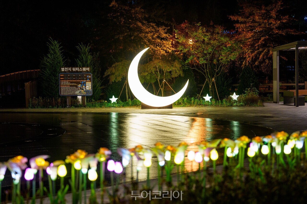 증평 좌구산 별천지공원 야경/사진-증평군