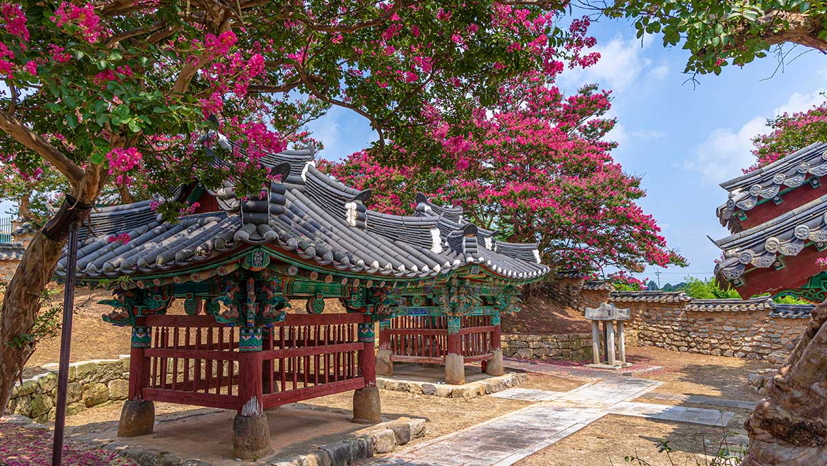 전각 주변으로 진분홍빛 꽃나무들이 화사하게 둘러싸여 있다. / 한국관광콘텐츠랩-황성훈