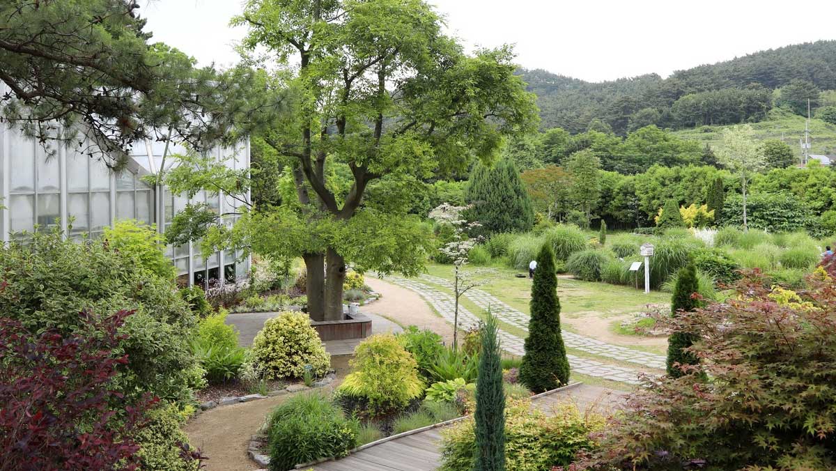 약 1만 7000개의 식물 분류군이 자라고 있는 천리포수목원의 넓은 정원. / 천리포수목원