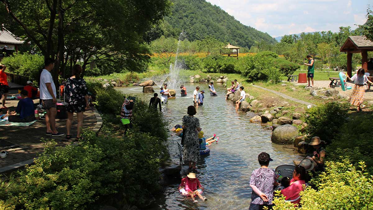 냉천수로 열을 식히는 관광객 모습. / 평창더위사냥축제
