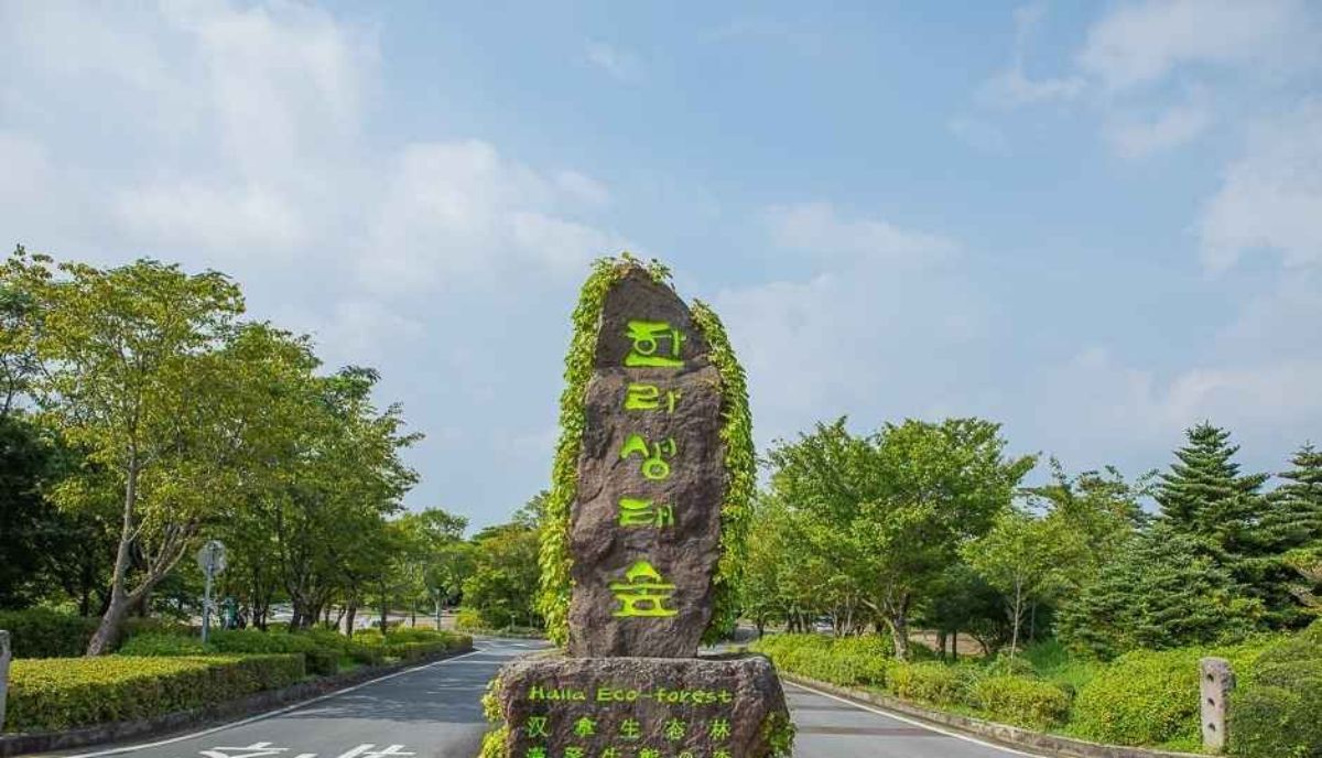 제주 숫모르편백숲길 입구. / ⓒ한국관광공사 제공