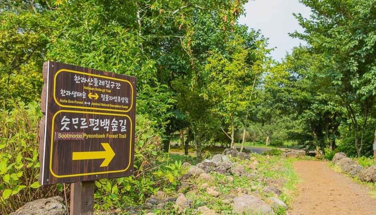 제주 숫모르편백숲길 안내 표지판. / ⓒ한국관광공사 제공