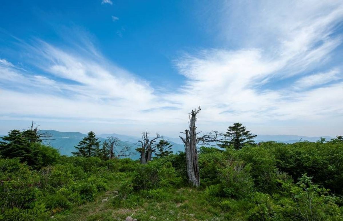 태백산. / 태백시청 제공