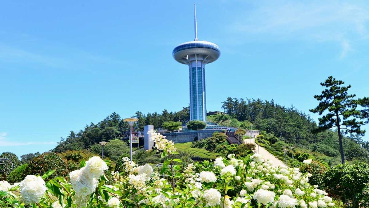 하얀 수국이 탐스럽게 피어난 공원 정상에 다도해해상국립공원을 조망하기 좋은 완도타워. / 한국관광공사
