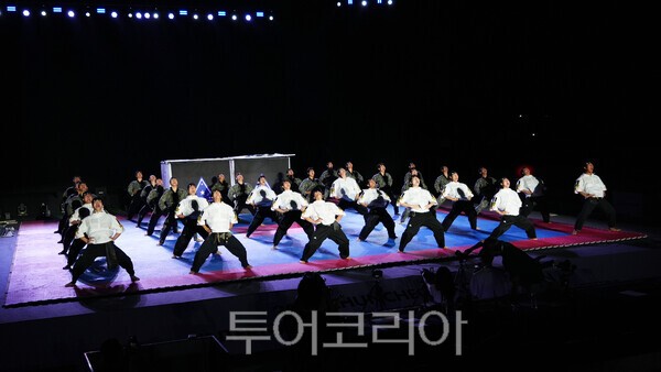 육군 태권도시범단 공연