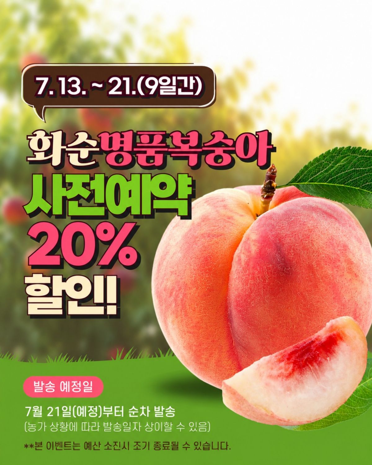 화순명품복숭아 사전예약 포스터. / 화순군 인스타그램