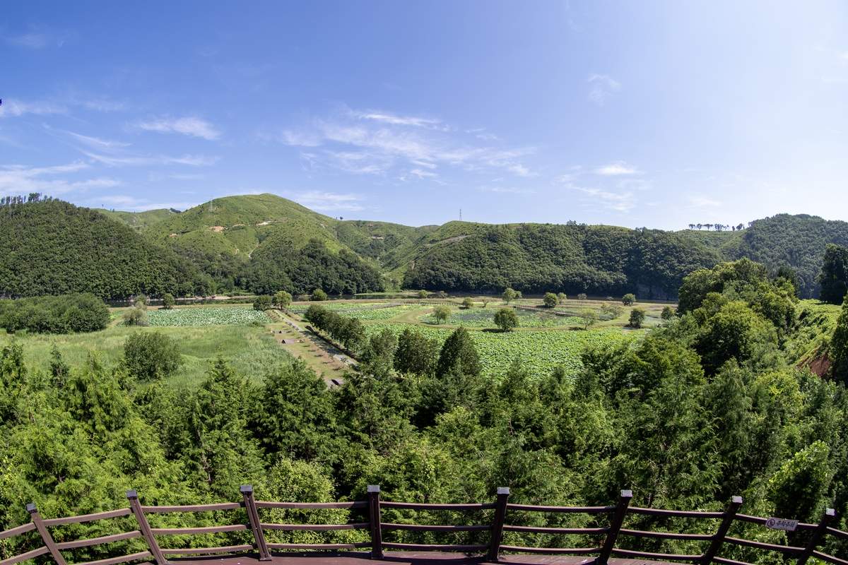 울산 회야댐 상류 생태습지 전경. / 울산시 제공