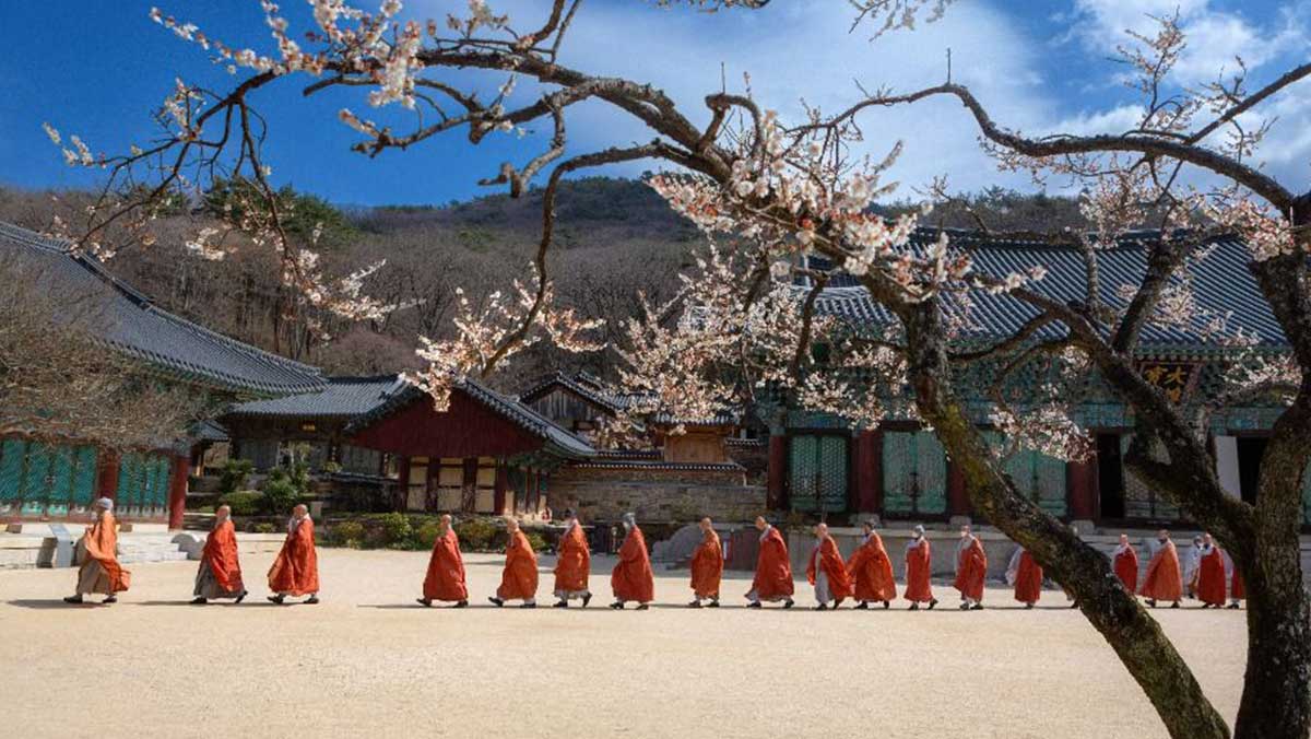 여러 스님들이 경내를 줄지어 걷고 있는 장면이다. / 한국관광공사 