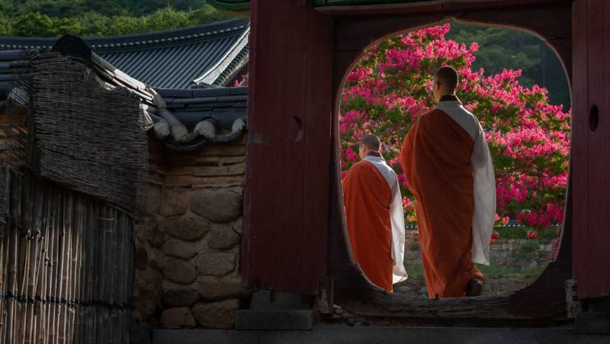 산문 너머로 무소유길과 불일암, 템플스테이를 연상케 하는 스님들의 뒷모습. / 한국관광공사 