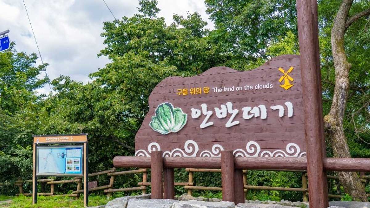 '구름 위의 땅 안반데기'라고 적힌 넓적한 나무 간판이 서 있는 입구. / 한국관광공사