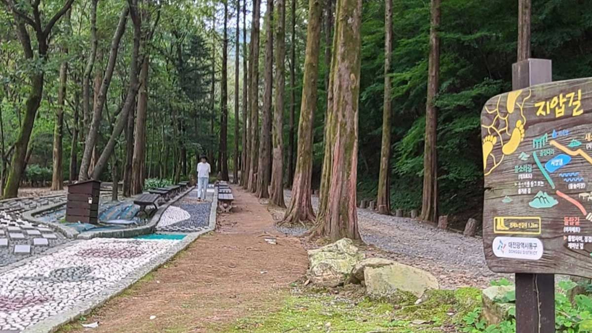 맨발로 걷기 좋은 몽돌지압길. / 대전 동구청 홈페이지