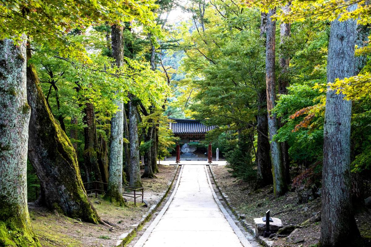 합천 해인사 산책길. / ⓒ한국관광콘텐츠랩-이범수