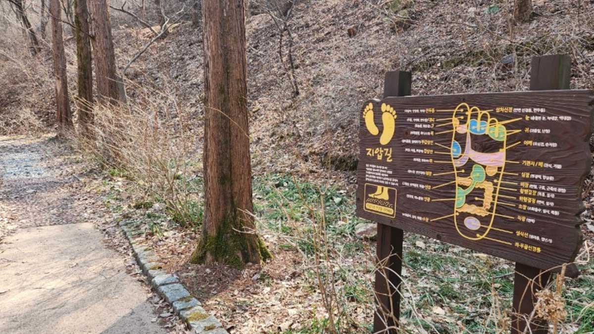몽돌지압길은 신발을 벗고 천천히 걸으며 발바닥 지압 효과를 묵직하게 느낄 수 있다. / 대전 동구청 홈페이지