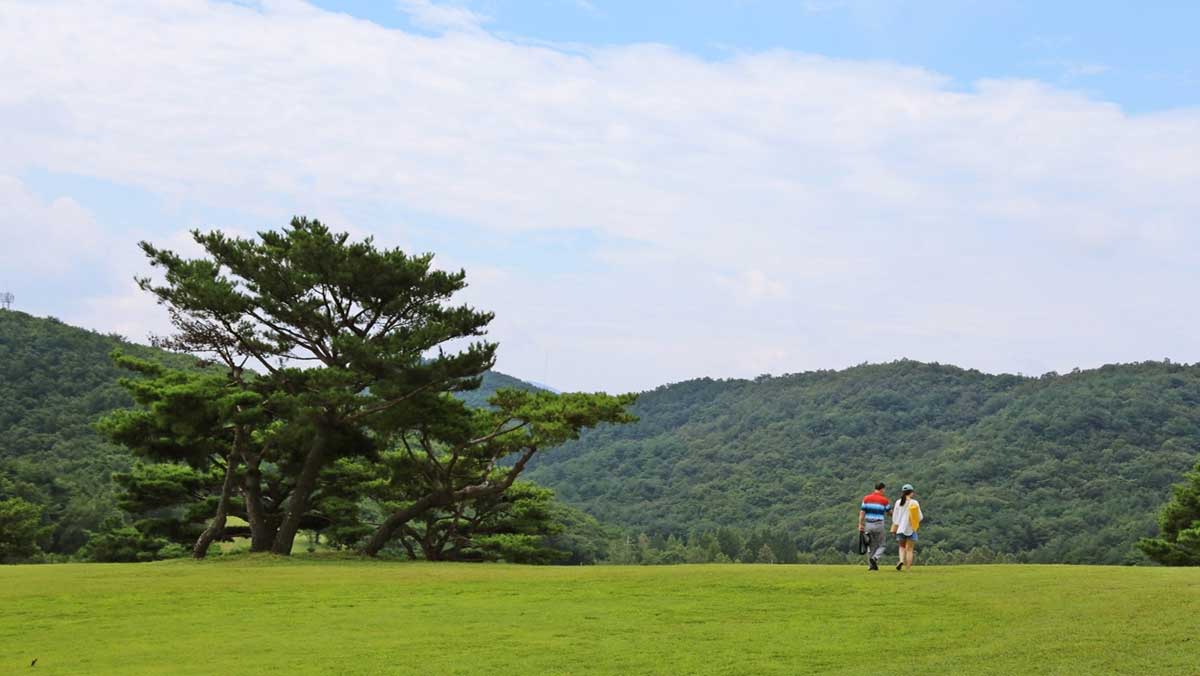화랑의 언덕은 고원 초지 위를 거닐며 시원한 바람과 함께 자연을 만끽할 수 있다. / 경주시