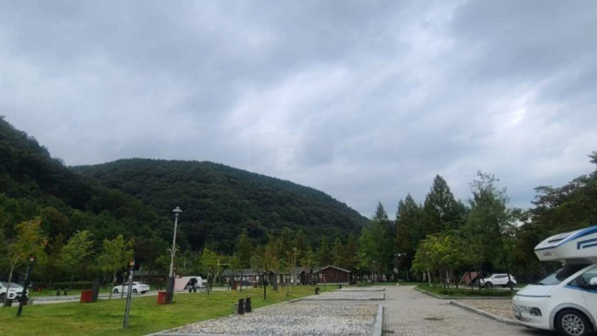 산림욕장 주변에는 오토캠핑장이 있으며, 여름철에는 숲 안에 무료 물놀이장도 함께 개장한다. / 대전광역시 공식 블로그