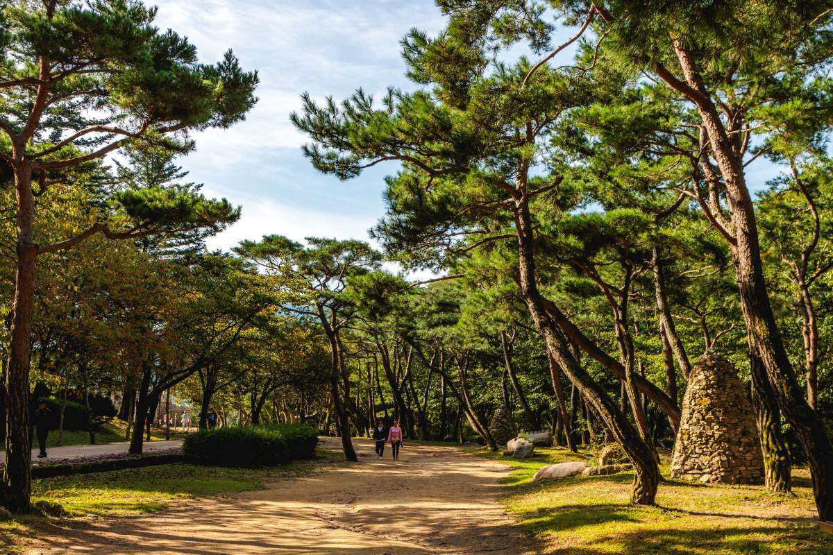 문경새재도립공원 옛길. / ⓒ한국관광콘텐츠랩-신혜성