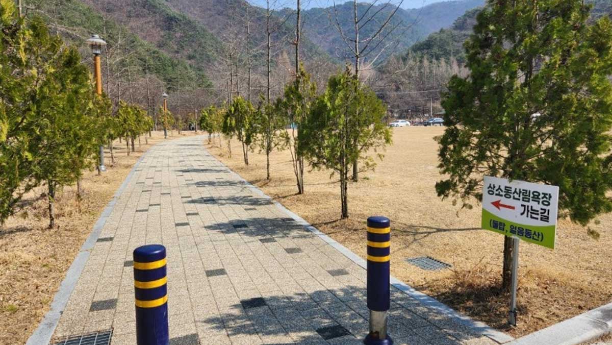 상소동 산림욕장 입구. / 대전 동구청 홈페이지