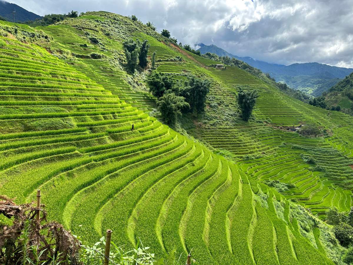 베트남 사파 지역. / CULEBRASLEON-shutterstock