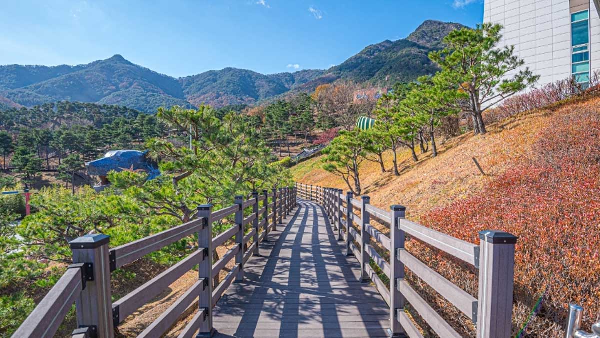 편안하게 걷기 좋은 목재 데크길. / 한국관광공사