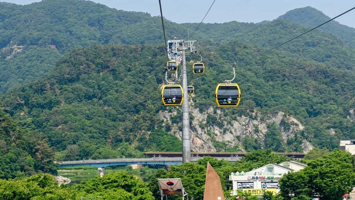 소금산의 푸른 숲을 배경으로 공중을 가로지르며 오르내리는 노란색 케이블카 캐빈들의 풍경. / 원주시