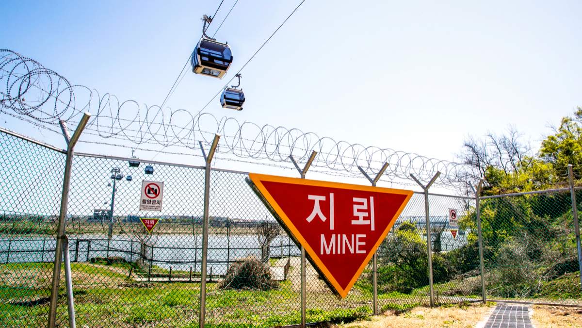 파주 임진각 평화곤돌라가 철조망 위를 지나고 있다. / 파주 임진각 평화곤돌라 공식 홈페이지