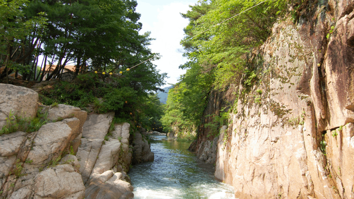 바위 절벽이 마주 보는 좁은 틈 사이로 맑고 차가운 계곡물이 흘러가는 쌍곡계곡의 웅장한 협곡 전경. / 괴산군