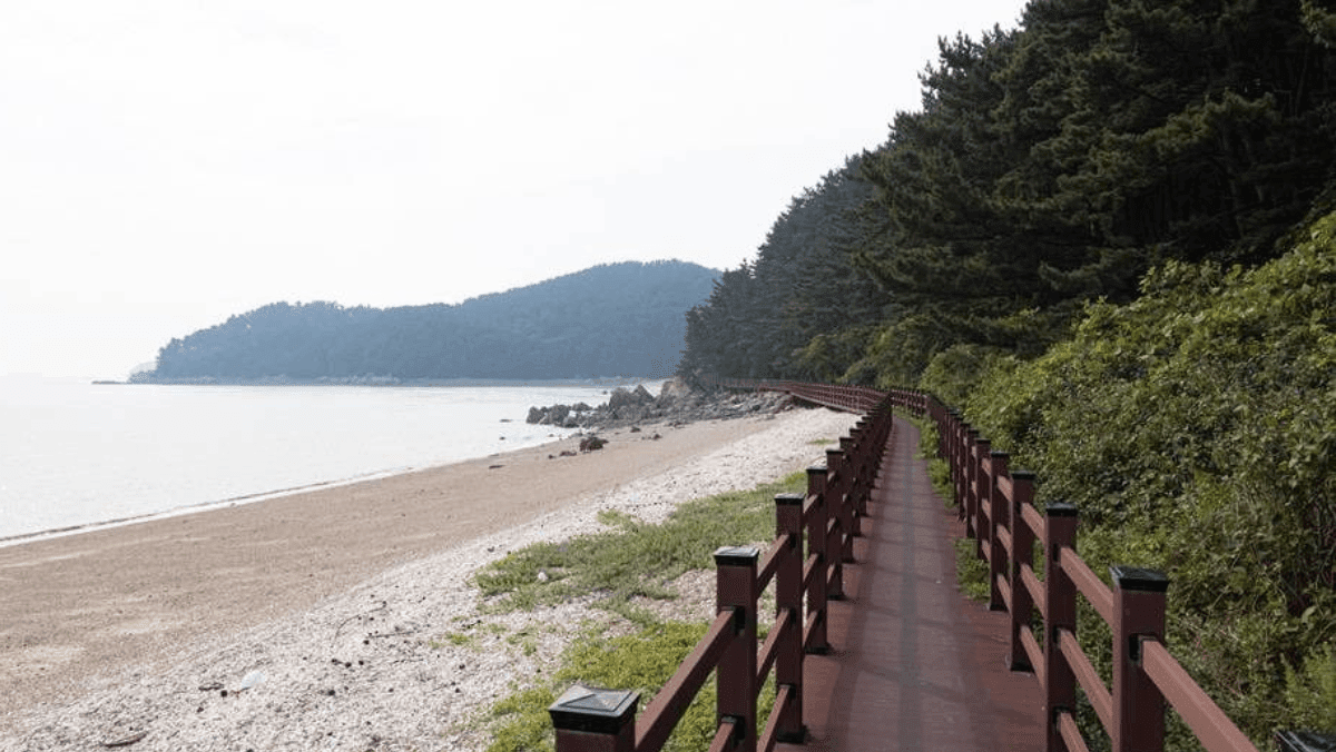 숲그늘을 느끼며 해안선을 따라 편안하게 걸을 수 있도록 잘 정비된 목재 데크길이다. / 한국관광콘텐츠랩