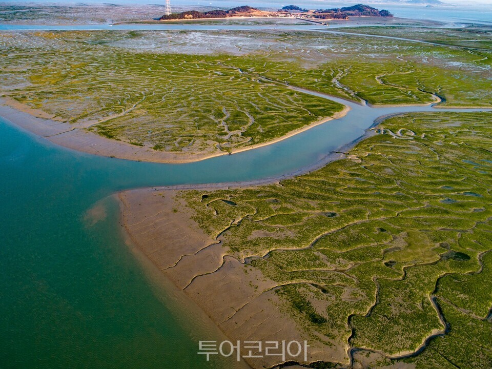 무안 탄도만 갯벌/ 사진=((재)한국의갯벌세계유산등재추진단