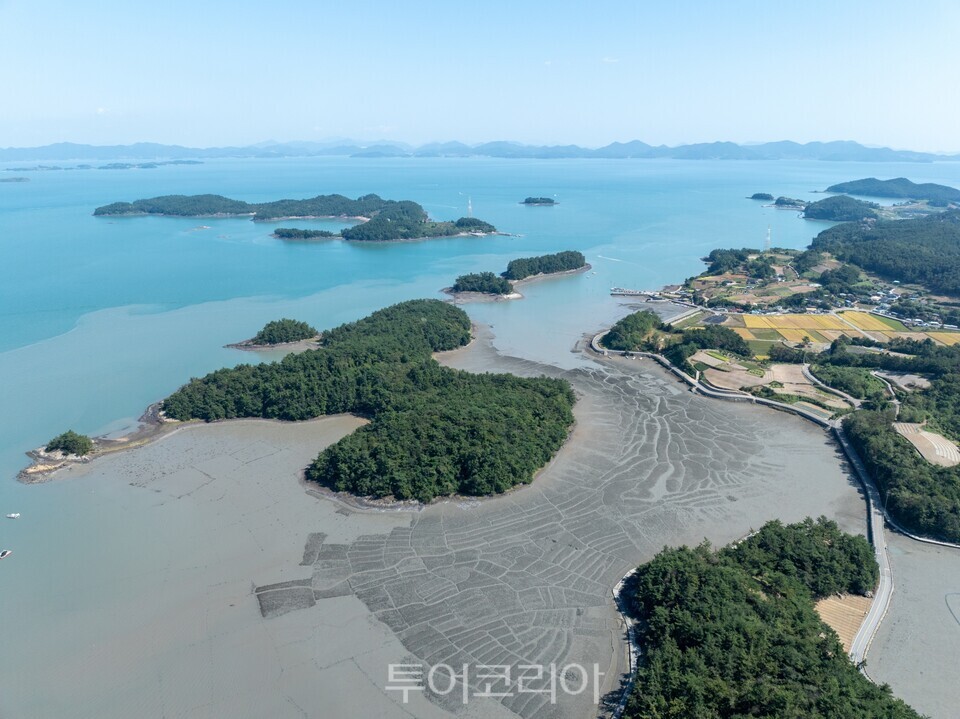 고흥갯벌/사진=((재)한국의갯벌세계유산등재추진단