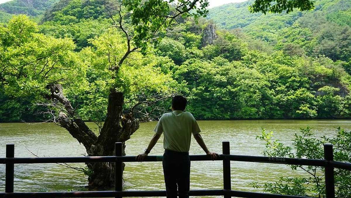 전망 데크 난간에서 주산지 전경을 바라보는 모습. / 한국관광공사