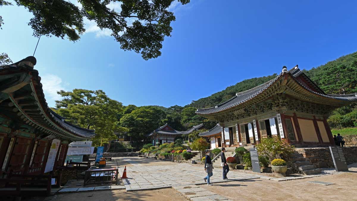 삼랑성 품에 안긴 고즈넉한 사찰 전각들. / 인천투어