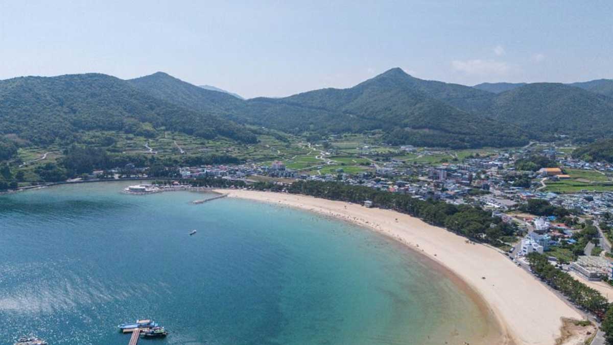 해변 뒤편으로 울창한 소나무 숲이 둘러싼 전경. / 한국관광공사