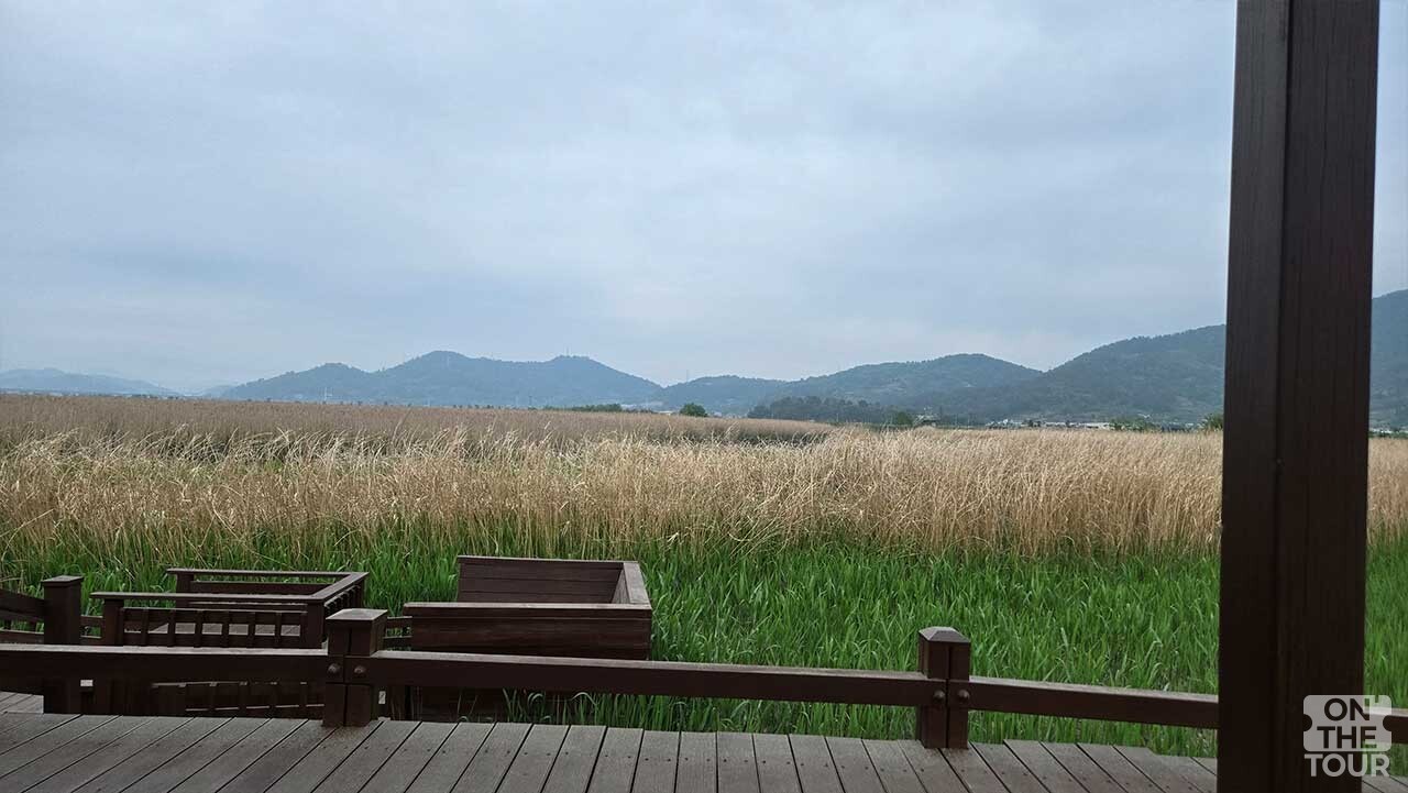 갈대숲을 따라 이어진 운치 있는 나무 데크 산책로. / 온더투어