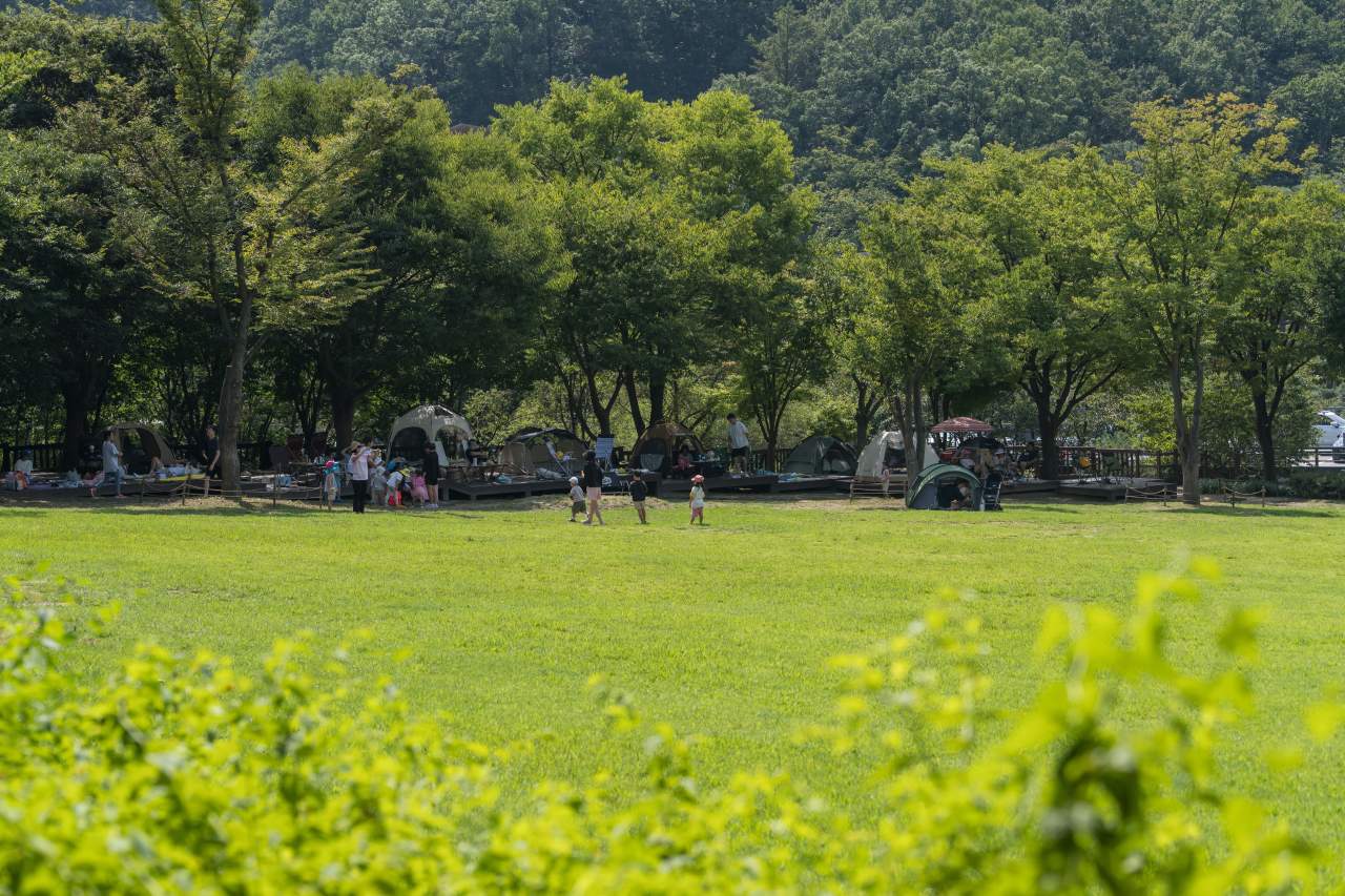 용인자연휴양림에서 산책하는 사람들. / ⓒ한국관광콘텐츠랩-김주원