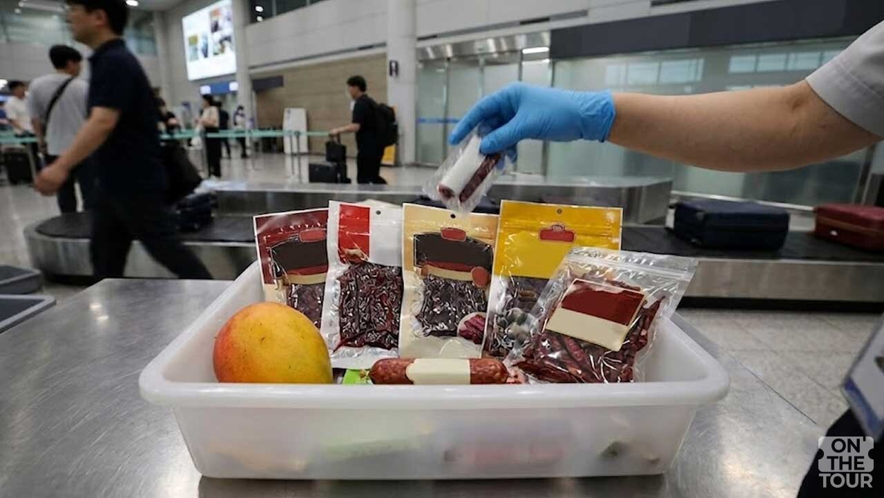입국 과정에서 적발되어 수거된 육가공품 및 생과일 품목들. (AI 생성)/ 온더투어