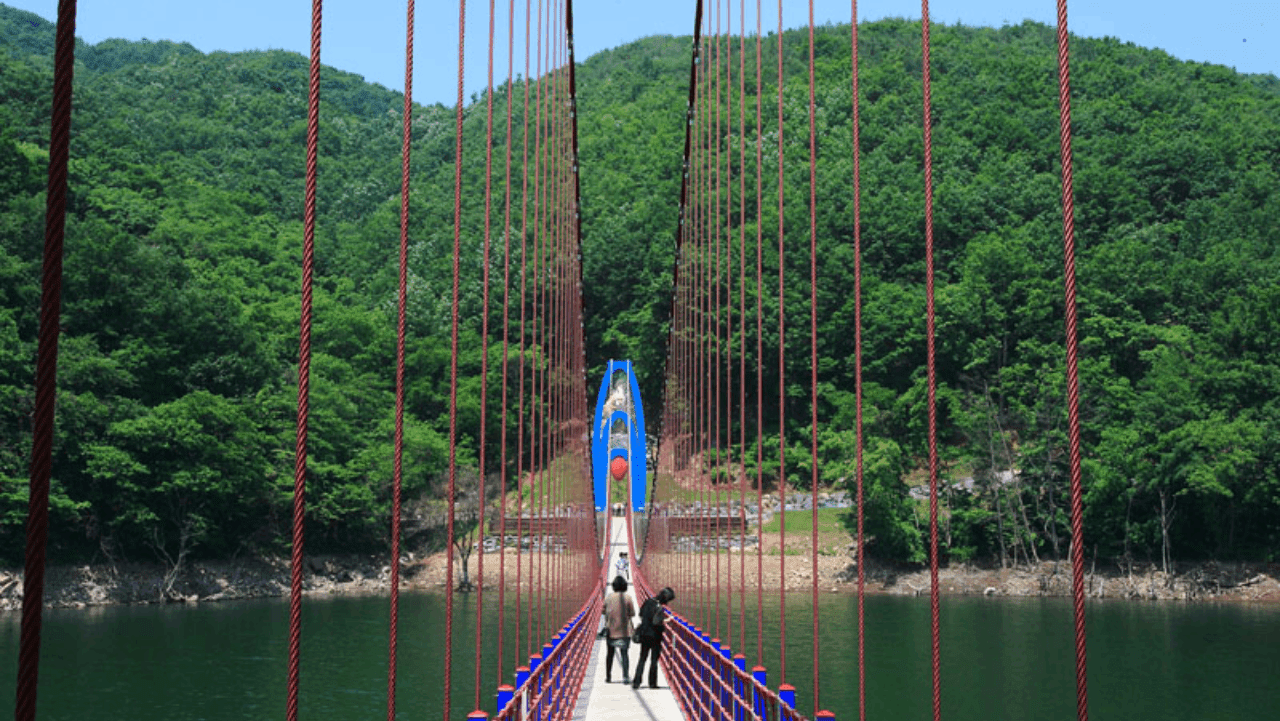 칠갑산의 무성한 녹음과 호수 풍경이 어우러진 다리 위 산책길. / 청양군 문화관광