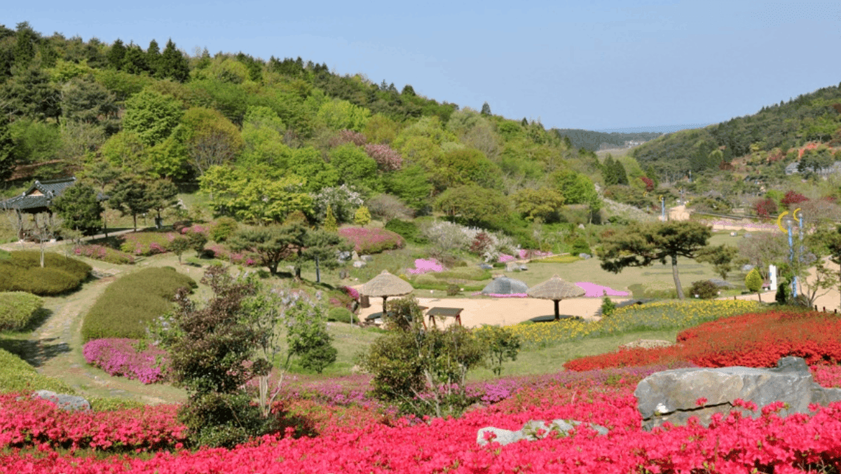 붉은 꽃들과 조경 정원이 푸른 능선과 어우러져 화사한 풍경. / 충남산림자원연구소 