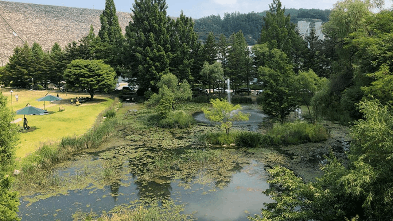 안동댐 아래 평탄하게 이어지는 수변 산책로와 잔디밭. / 안동관광