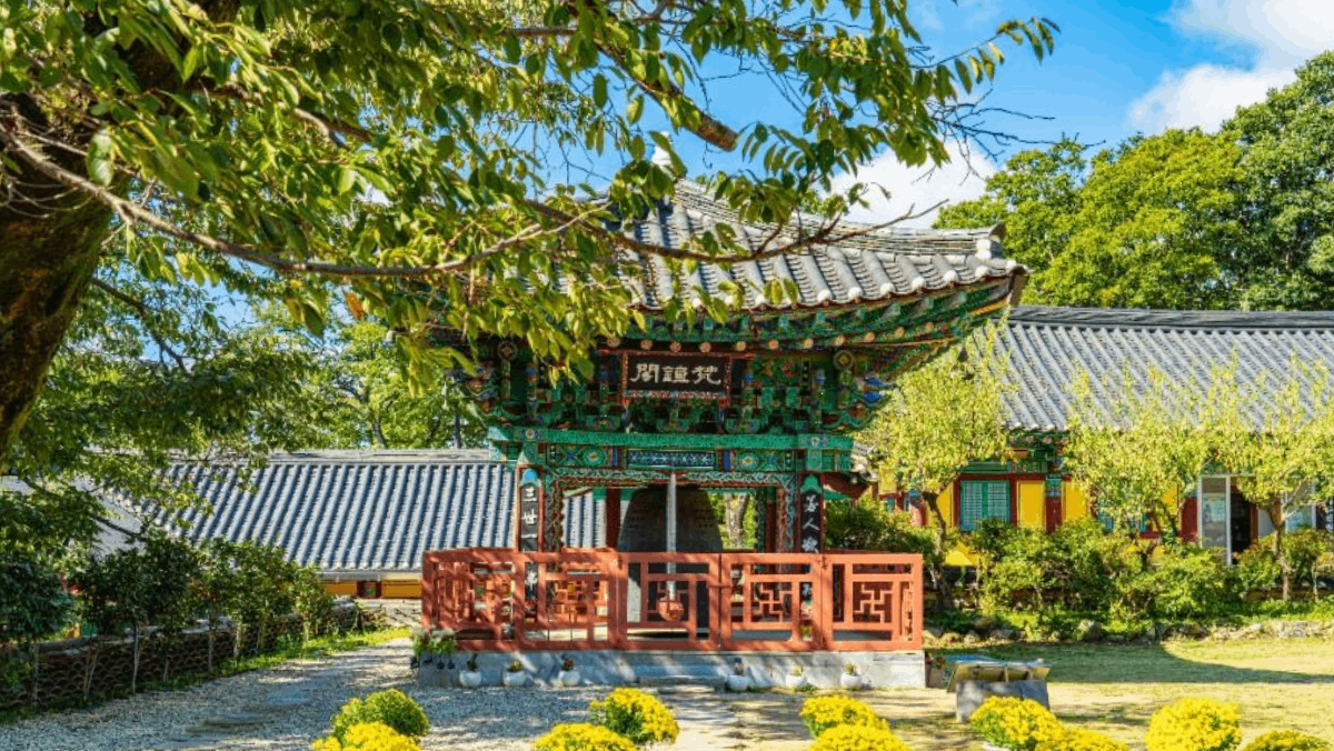 노란 꽃밭 사이로 고즈넉하게 자리 잡은 사찰 범종각의 평화로운 풍경. / ⓒ한국관광콘텐츠랩