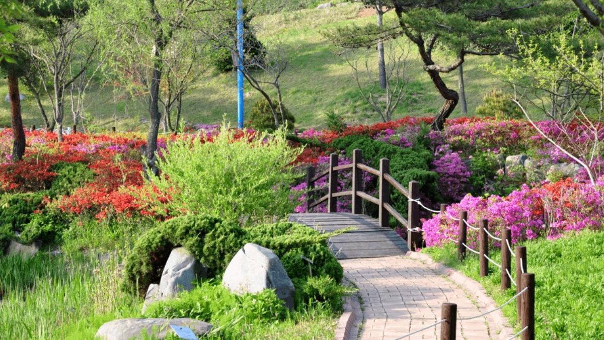 휠체어나 유모차로도 이동하기 편리한 꽃길 산책로와 나무 다리. / 충남산림자원연구소 