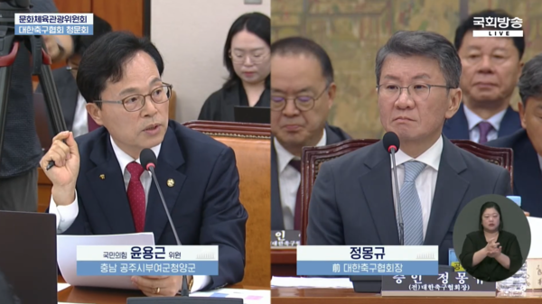 윤용근 의원과 정몽규 전 축구협회장(사진=국회방송)